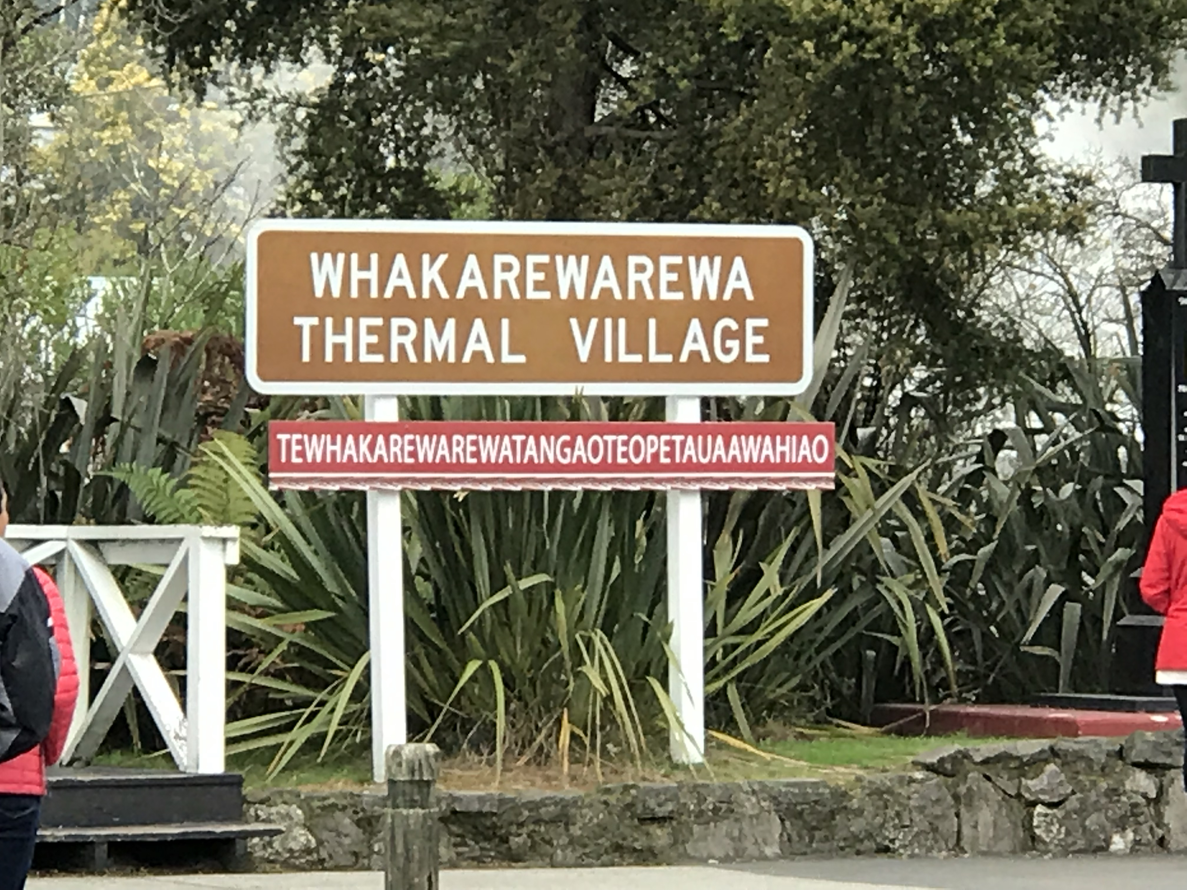 Hangi Cooking In Rotorua, New Zealand