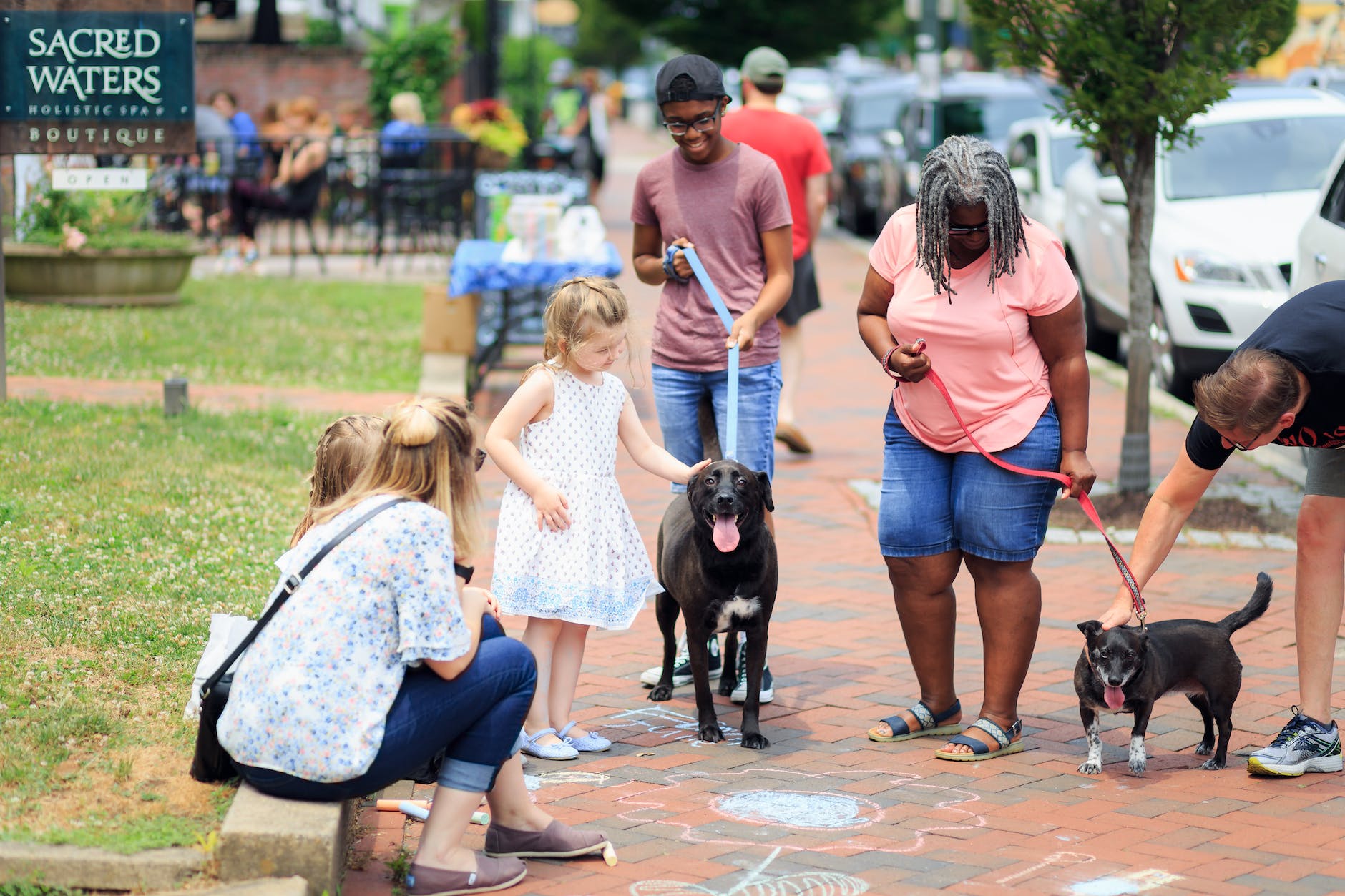 people walking the dog